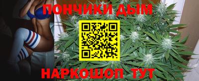спиды Камышлов