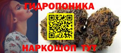 спиды Камышлов