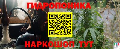 спиды Камышлов