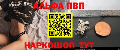 спиды Камышлов