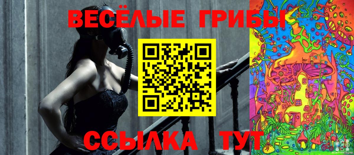Псилоцибиновые грибы ЛСД  Псилоцибиновые грибы прущие грибы  Вход с VPN  Кинель 
